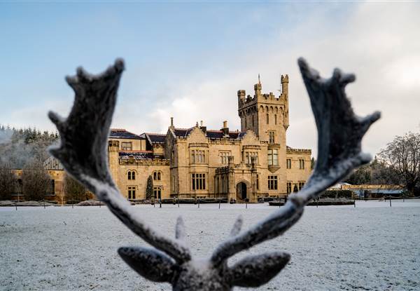 Exterior Stag Shot (1)